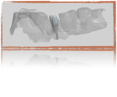 Nos prestations sur le secteur de Marseille Mazargues 13009