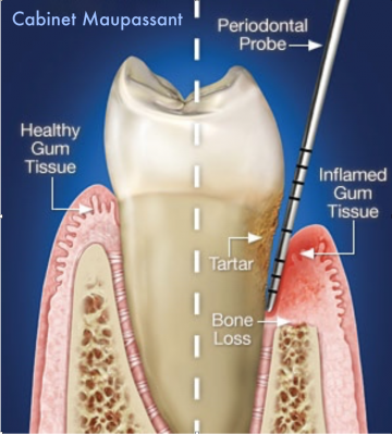 Nos prestations sur le secteur de Marseille Prado